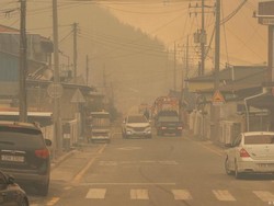 Aksi Heroik Nelayan Indonesia Selamatkan Lansia Saat Kebakaran Hutan di Korsel