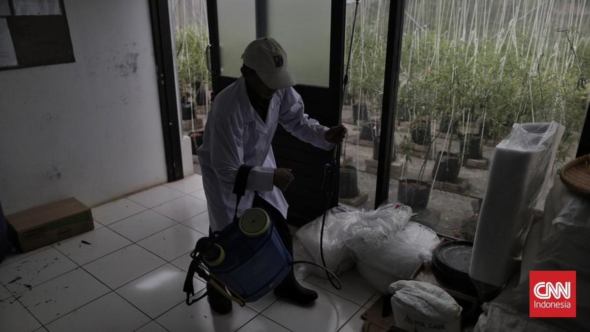 FOTO: Inovasi Pertanian Modern di Agro Edukasi Wisata Ragunan