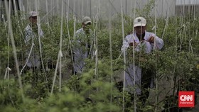 FOTO: Inovasi Pertanian Modern di Agro Edukasi Wisata Ragunan