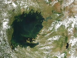 Tanda Bahaya! Danau Tropis Terbesar di Dunia Berubah Jadi Hijau