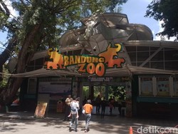 Sah! Bandung Zoo Dikelola Taman Safari Indonesia
