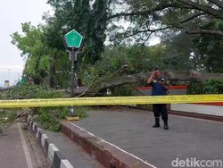 Korban Tewas Tertimpa Pohon Beringin Saat Salat Id Bertambah, Ini Identitasnya