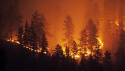 Istri Eks PM Nepal Tewas usai Rumah Dibakar Massa yang Ngamuk