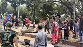 Mensos Data Ahli Waris Korban Tewas Pohon Tumbang di Pemalang