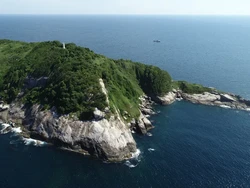 Pulau Terlarang Ini Sarangnya Ular Mematikan