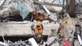 Tim Anjing Pelacak Polri Berhasil Temukan Korban Gempa Myanmar