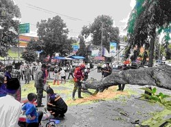 Kemensos Santuni 22 Korban Pohon Tumbang Saat Salat Id di Pemalang