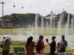 Video: Gemas! Kini TMII Jakarta Dipenuhi Kucing Gemoy