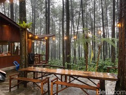 Gapura Cafe dan Resort Sidomulyo, Tempat Asri Pemudik Jalur Jember-Banyuwangi