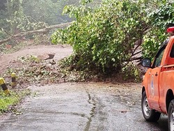 Jalur Pacet-Cangar Tertimbun Longsor Sepanjang 50 Meter Belum Bisa Dilalui