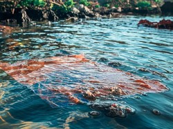Ilmuwan Jepang Ciptakan Bahan Plastik yang Bisa Larut di Laut