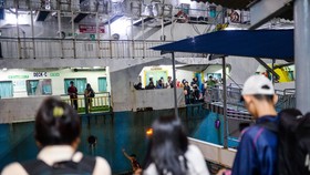 ASDP Siapkan Diskon Tarif Penyeberangan hingga Single Tarif Mudik 2026