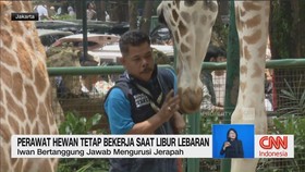 VIDEO: Perawat Hewan Tetap Bekerja Saat Libur Lebaran