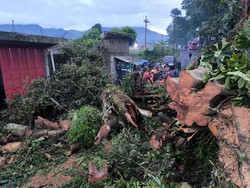 Jalur Wonosobo-Dieng Kembali Buka usai Tutup Selama 13 Jam