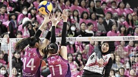 Final Liga Voli Korea: Megawati 40 Poin, Red Sparks Hajar Pink Spiders