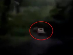Rekaman Detik-detik Pikap Dihantam Longsor di Jalur Pacet-Cangar Mojokerto