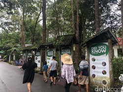 Arboretum Nyaru Menteng, Wisata Hutan Kaya Flora-Fauna Unik di Palangka Raya