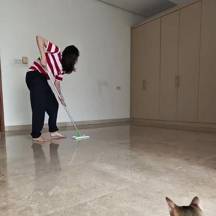 <p>Selain membersihkan dedaunan dari kolam renang, Cinta juga menyapu dan mengepel ruangan tempat kucing peliharaannya tinggal. Ia juga tak lupa membersihkan kotoran kucing hingga memberi hewan peliharaannya itu makan. (Foto: Instagram @claurakiehl)</p>