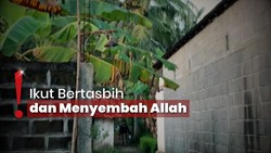 Fakta Peristiwa Tumbuhan Tak Bergerak saat Salat Ied, Apa Kata Al Quran?