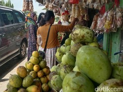 Mangga Indramayu Kurang Dilirik Pemudik