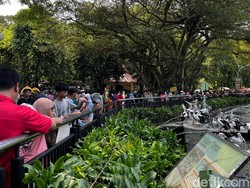 Warga Tangerang Ajak Anak ke Ragunan: Selama Ini Lihat Hewan Cuma dari YouTube