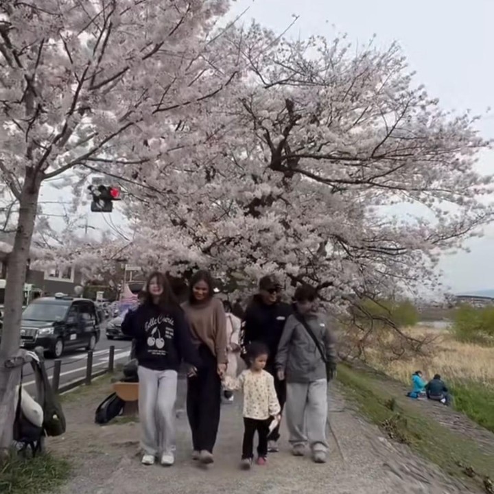 <p>Wendy Cagur dan keluarga juga menguggah momen saat liburan di Jepang. Ia bersama istri dan ketiga anaknya pun mengabadikan momen saat menyusuri pinggir jalan yang dipenuhi dengan pohon bunga sakura. (Foto: Instagram@wendicagur)</p>
