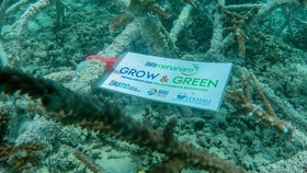 BRI Menanam Grow & Green Jadi Ujung Tombak Ekosistem Laut di NTB