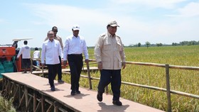 Menko Zulhas Dampingi Prabowo Panen Raya Padi di Majalengka