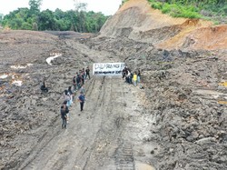 Soal Aparat Terlibat di Kasus Hutan Unmul, Ini Jawaban Balai Gakkum LHK