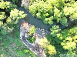 Warga Tarakan Barat Keluhkan Jalan Rusak Diduga Imbas Illegal Logging
