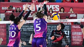 Link Live Streaming Red Sparks vs Pink Spiders Hari Ini, Tayang 17.00