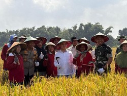Pemkab Mojokerto Targetkan Panen 319.821 Ton Gabah di 2025