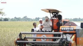 Prabowo Beli 1.000 Burung Hantu Buat Atasi Hama Tikus di Majalengka
