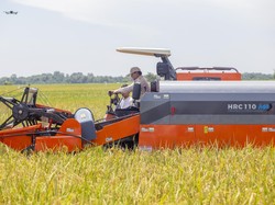 448 Ha Lahan KAI Disewakan untuk Program Ketahanan Pangan Nasional
