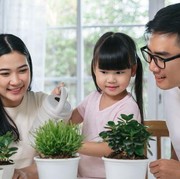 7 Tanaman Hias yang Cocok Ditanam di Rumah, Bikin Cantik dan Miliki Banyak Manfaat!