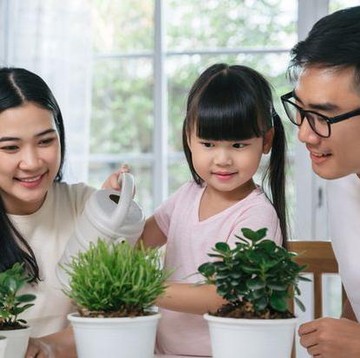 7 Tanaman Hias yang Cocok Ditanam di Rumah, Bikin Cantik dan Miliki Banyak Manfaat!