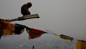 FOTO: Kathmandu Berbulan-bulan Dicekik Polusi Udara