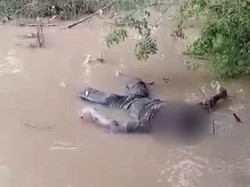 Identitas Mayat Mr X yang Mengambang di Sungai Rawas Terungkap