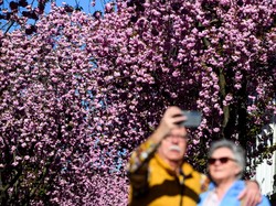 Di Tengah Isu Global, Kunjungan Wisman ke Jepang Tetap Sip