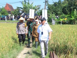 Kapolda Jatim dan Gubernur Khofifah Panen Raya Padi di Ngawi