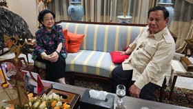 Puan soal Megawati dan Prabowo: Akan Ada Pertemuan Selanjutnya