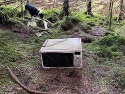 Nasib Hutan Hafren: Viral Dulu, Rusak Kemudian, Warlok pun Geram