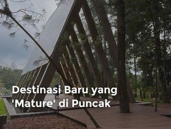 Video Destinasi Baru yang Mature di  Puncak