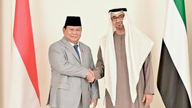Pakar Nilai Rencana RI Gandeng UEA Tampung Warga Gaza Untungkan Israel