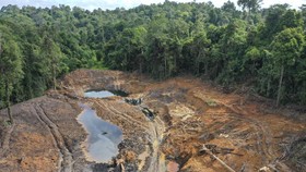 FOTO: Sudut-sudut Hutan di Kaltim yang Dijadikan Lokasi Tambang Ilegal