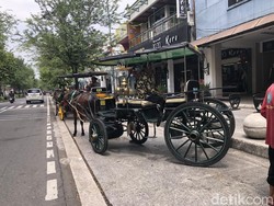 Pemkot Jogja Ungkap Aturan Kuda Pipis di Malioboro: Disiram lalu Diparfum