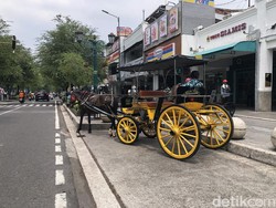 Paguyuban Andong Jogja Angkat Bicara soal Bau Pesing di Malioboro