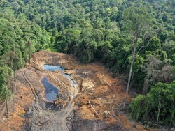 Babak Baru Kasus Tambang Liar di Hutan Unmul: Aktor Utama Jadi Tersangka