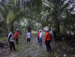 Nenek 80 Tahun di Kayong Utara Hilang, Terakhir Terlihat Sedang Ngopi