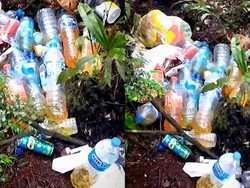 Bukit Tiong Kandang Ditutup Buntut Pendaki Buang Sampah-Langgar Norma